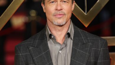 Brad Pitt Attended Alcoholics Anonymous Amid Angelina Jolie Breakup