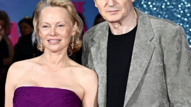 Pamela Anderson Kisses Costar Liam Neeson in Red Carpet Photo