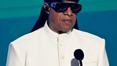 Stevie Wonder Addresses Rumor He's Not Really Blind