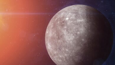 Every Zodiac Sign That Will Feel Mercury Retrograde in Leo the Most